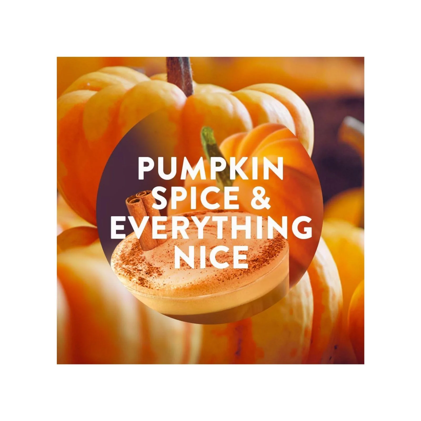 Airwick Plug in Diffuser Twin Refill, Pumpkin Spice & Everything Nice, 19ml - Image 2