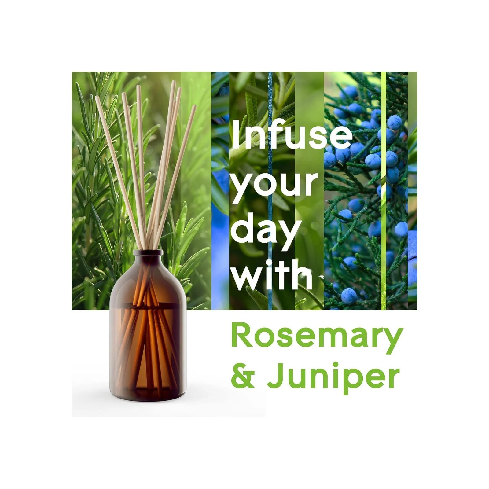 Glade Aromatherapy Reed Diffusers, Essential Oils Diffuser with Refreshing Fragrance, Refreshing Energy with Rosemary & Juniper, 80ml - Image 3