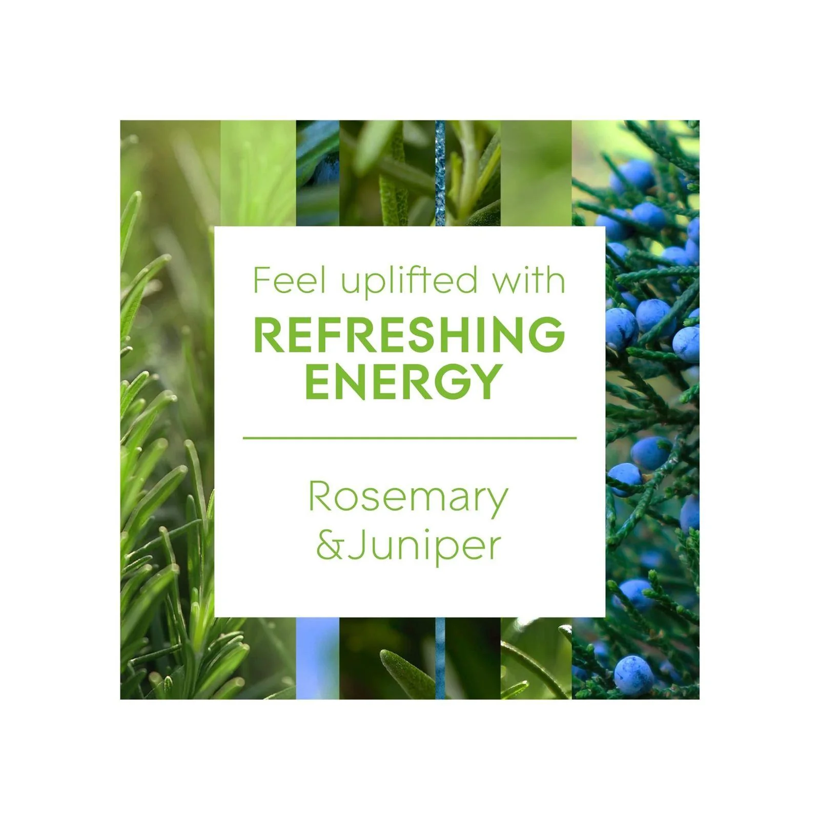 Glade Aromatherapy Reed Diffusers, Essential Oils Diffuser with Refreshing Fragrance, Refreshing Energy with Rosemary & Juniper, 80ml - Image 6