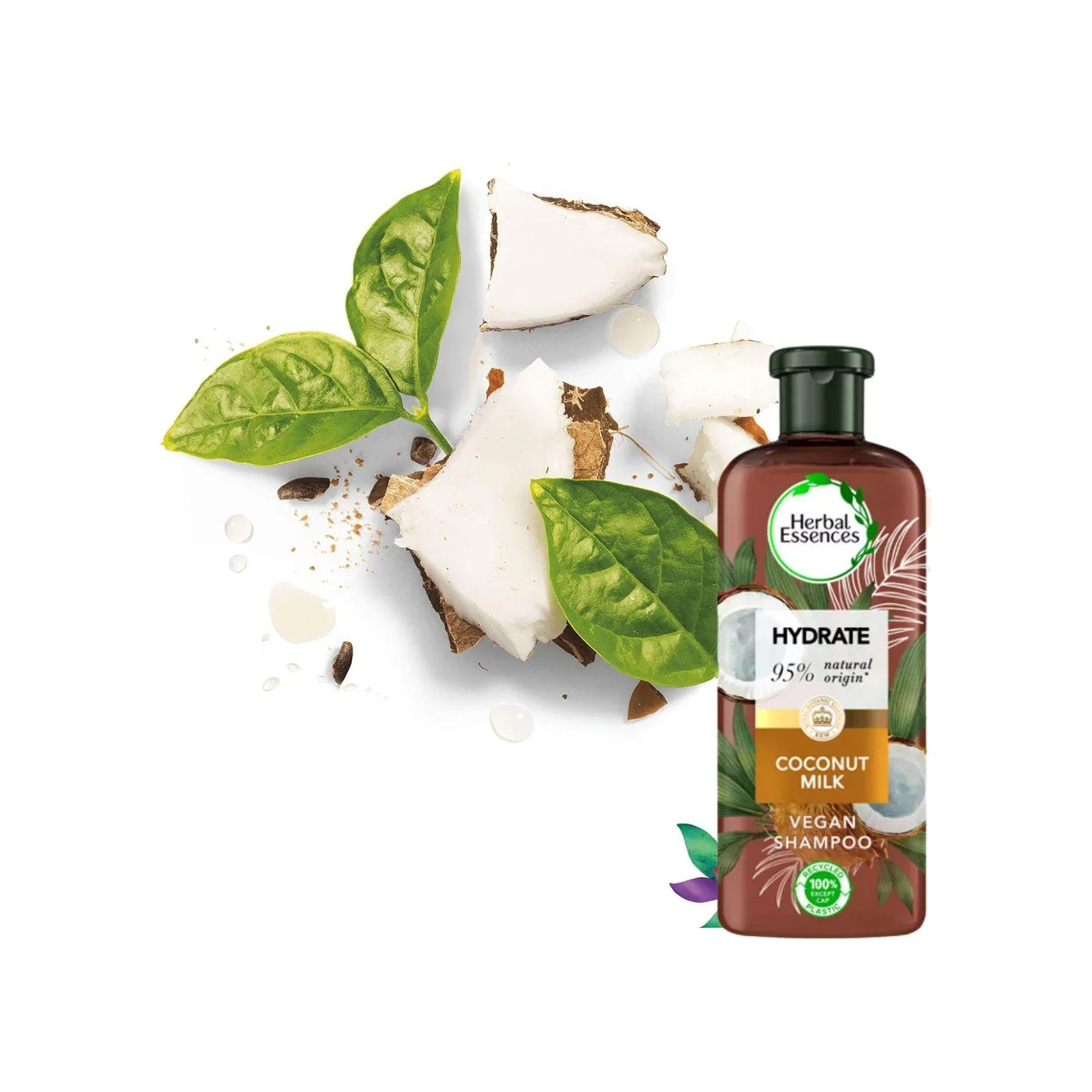 Herbal Essences Bio Renew Coconut Milk Hydrate Shampoo 250ml - Image 3