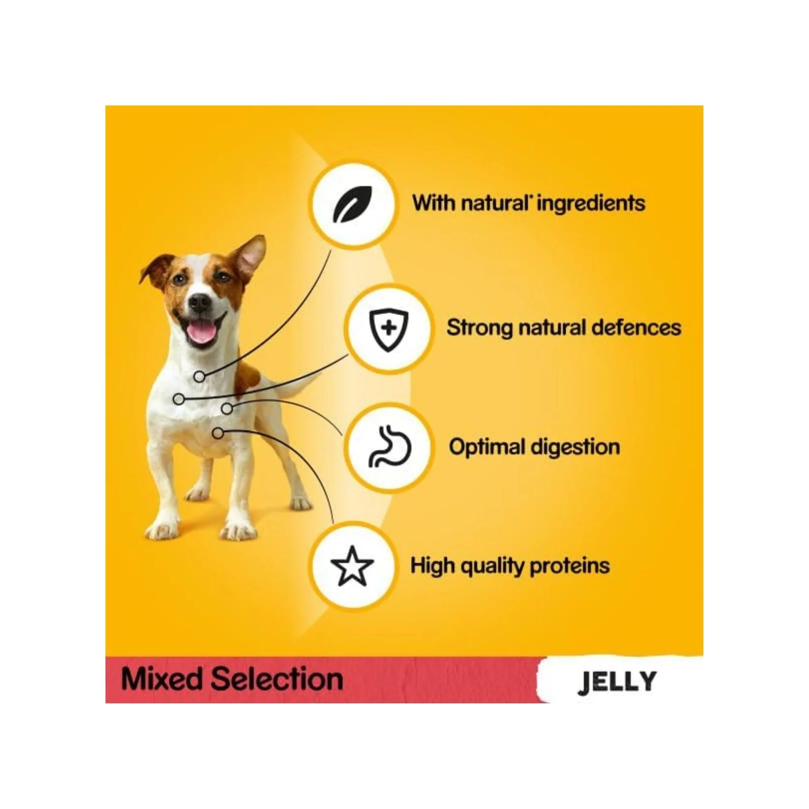 Pedigree Adult Dog Food Pouches Mixed Selection in Jelly 12 x 100g (Box of 4) - Image 2