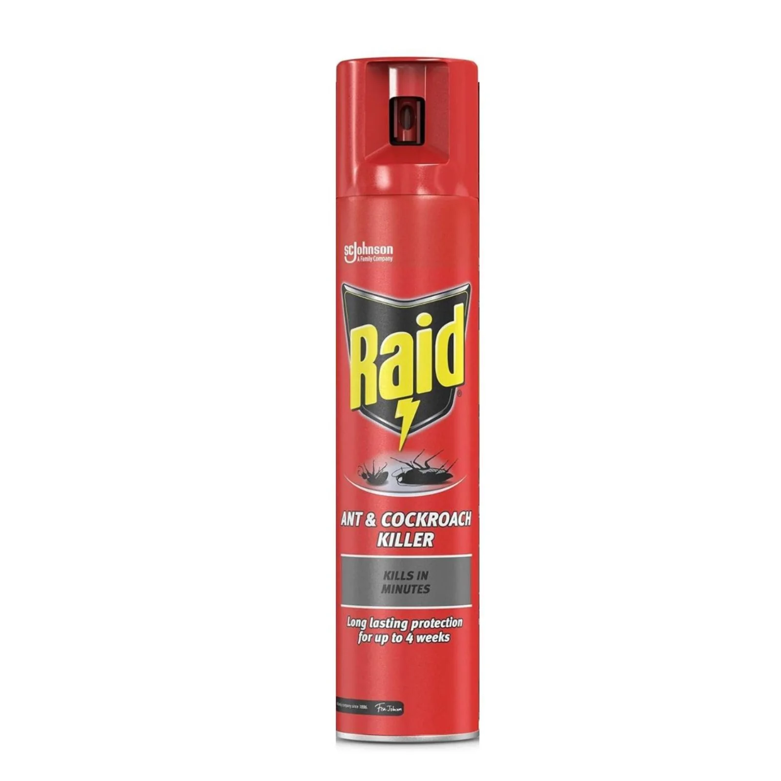 Raid Ant & Cockroach Killer, Insect Killer For Indoor Use, 300ml