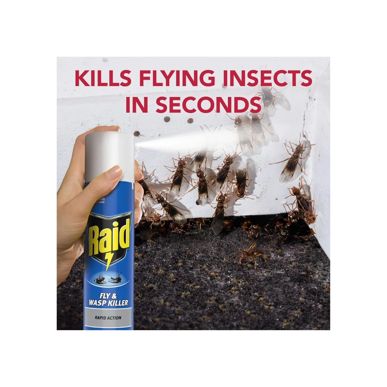 Raid Rapid Action Fly & Wasp Killer, Fly Killer Spray For Indoor Use, 300ml - Image 2