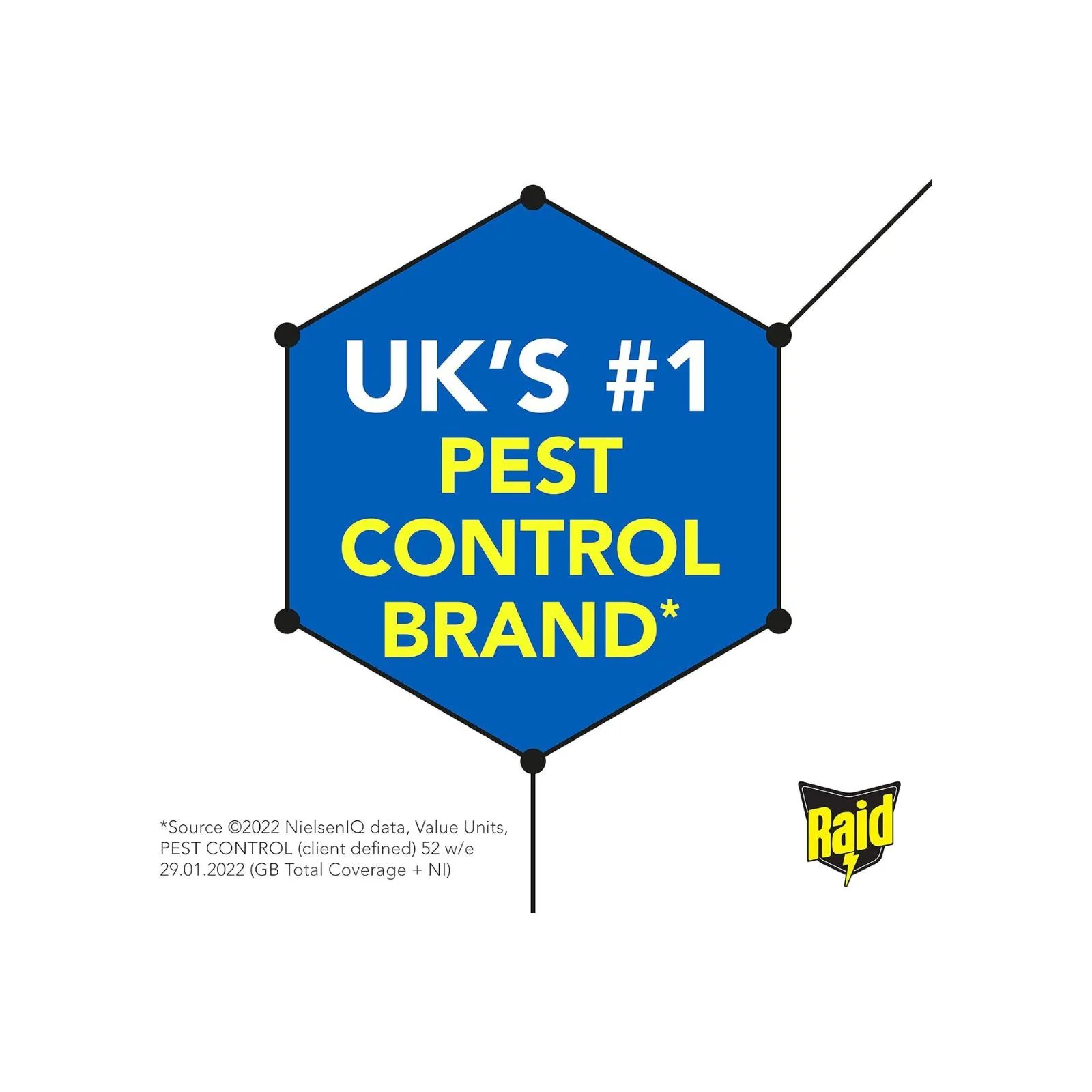 Raid Rapid Action Fly & Wasp Killer, Fly Killer Spray For Indoor Use, 300ml - Image 4